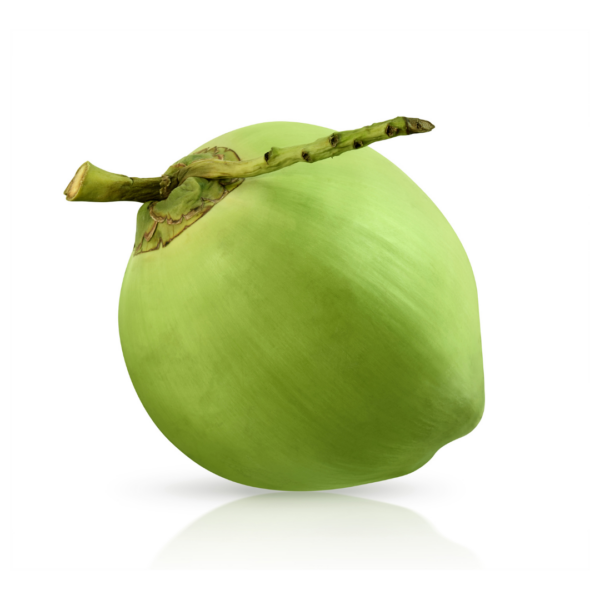 pipa